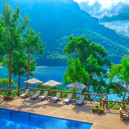 La Boheme Kabak Adults Only فاراليا